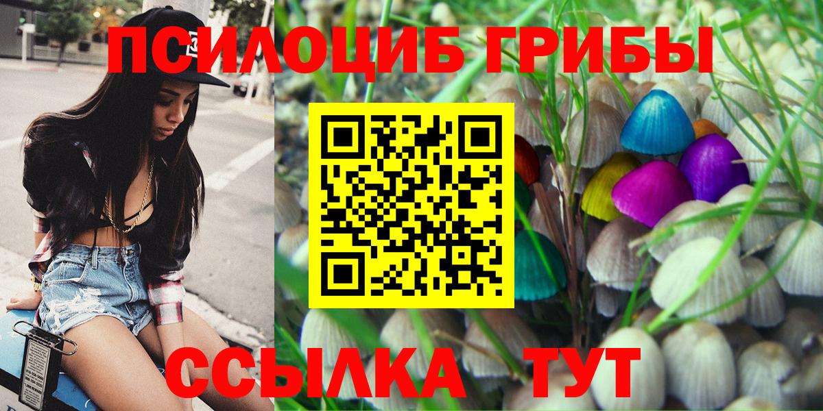 Псилоцибиновые грибы мицелий Керчь