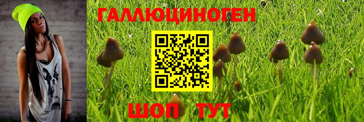 Псилоцибиновые грибы Magic Shrooms  Вход с VPN  Галлюциногенные грибы ЛСД  Керчь 